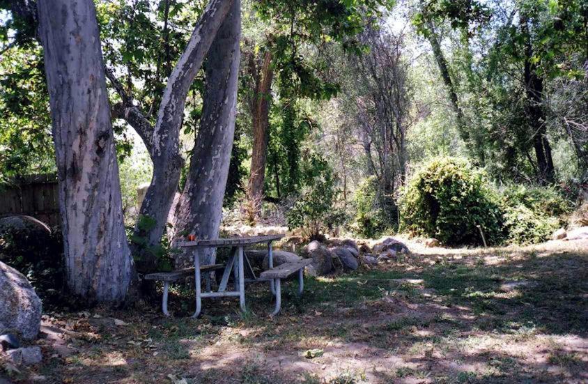 Sequoia Riverfront Cabins Three Rivers Habitación foto